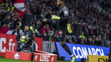 Mike Maignan Lille