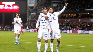 Icon metz ol 019