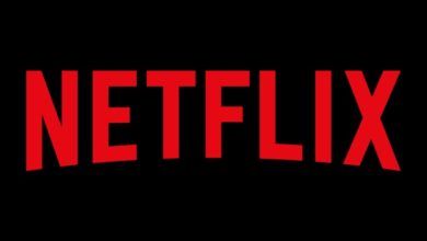Netflix Logo Print CMYK
