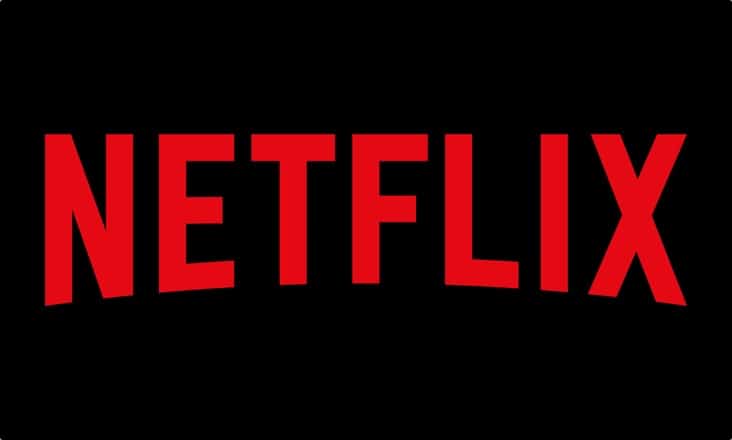 Netflix Logo Print CMYK