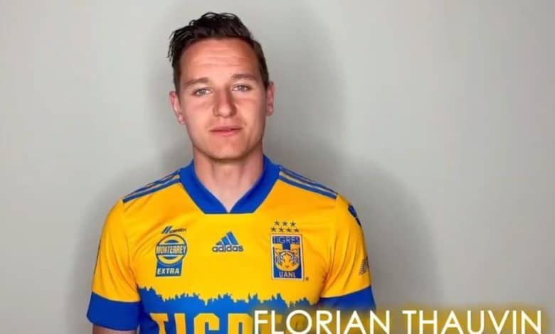 Thauvin Tigres